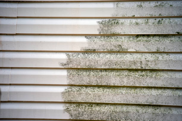 Best Dumpster Rental Services  in Coosada, AL